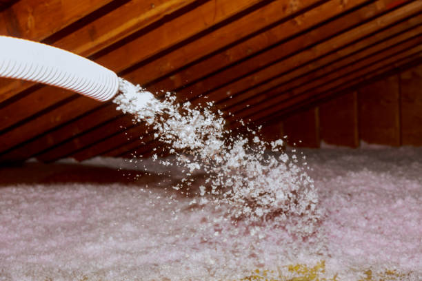 Professional Insulation Contractor in Vista, CA