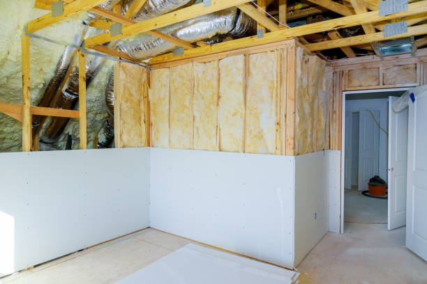 Best Spray Foam Insulation  in Vista, CA