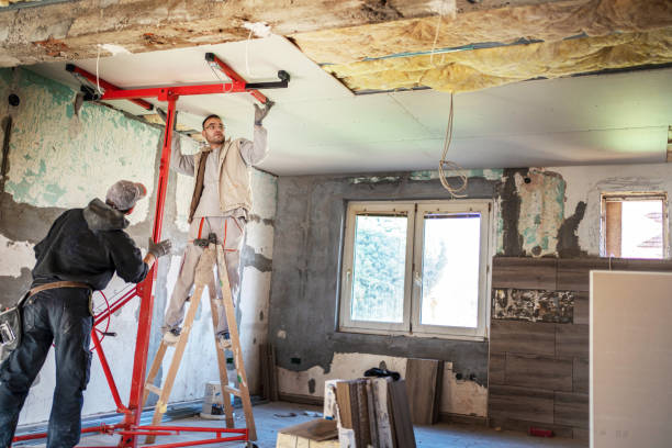 Best Attic Insulation Installation  in Vista, CA