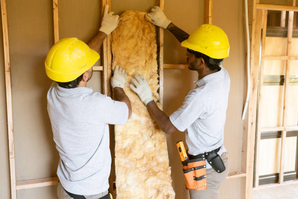 Best Insulation Repair Services  in Vista, CA