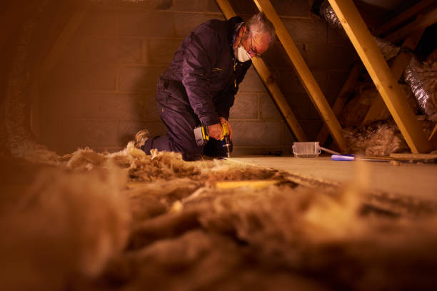 Best Home Insulation Services  in Vista, CA